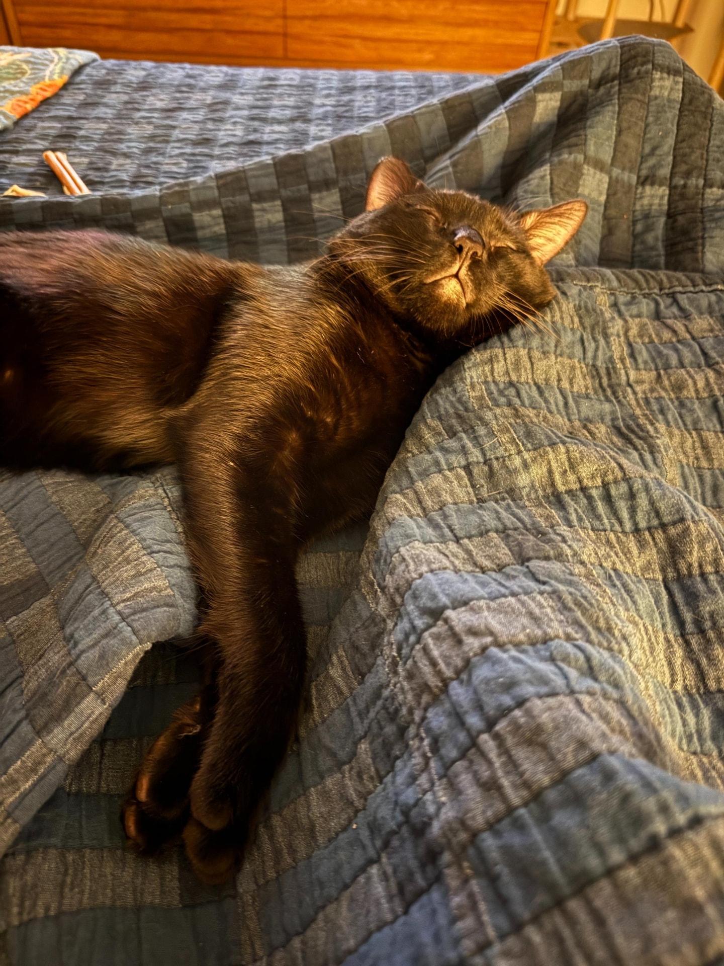 Meow Ming