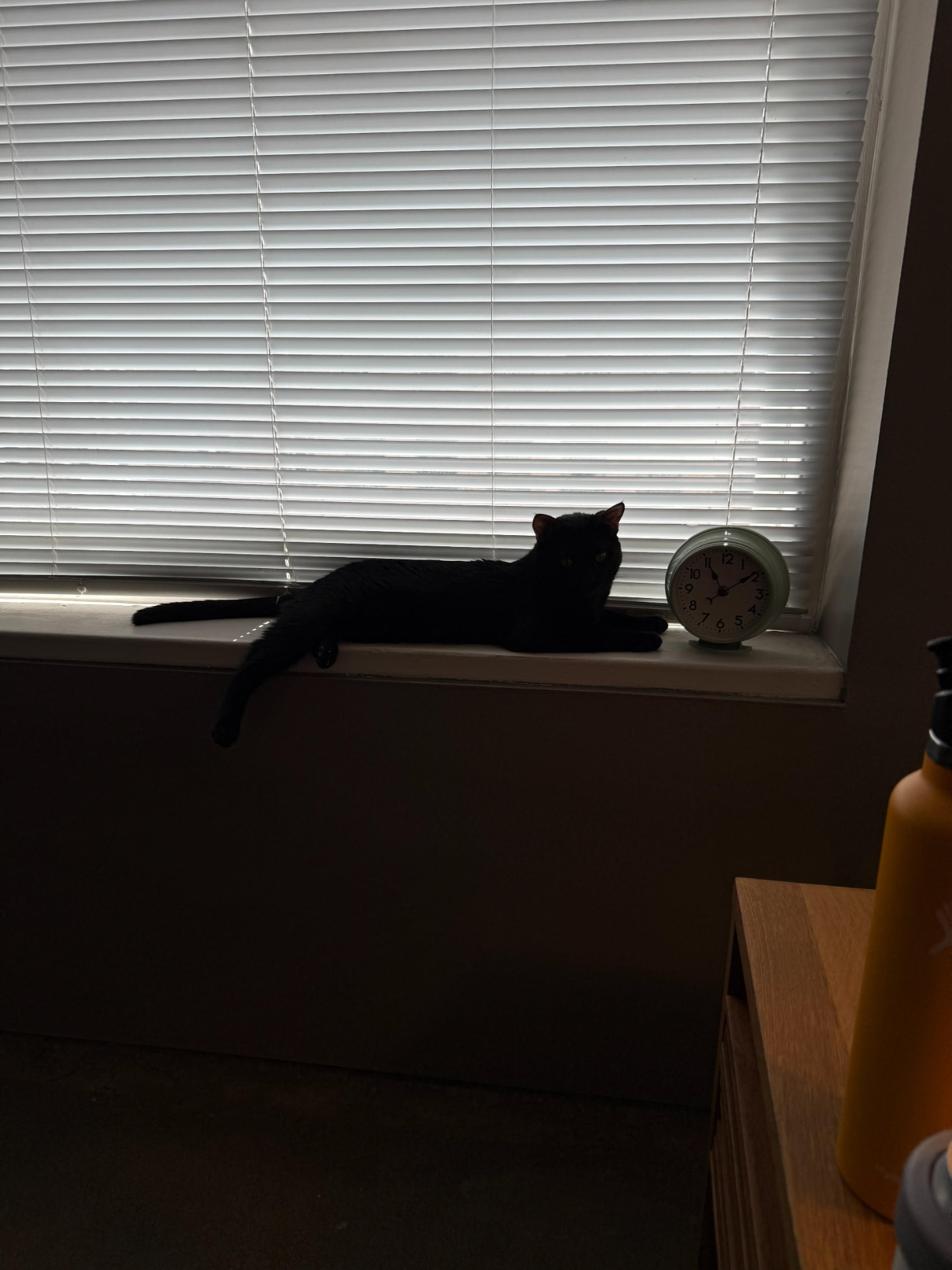 Meow Ming