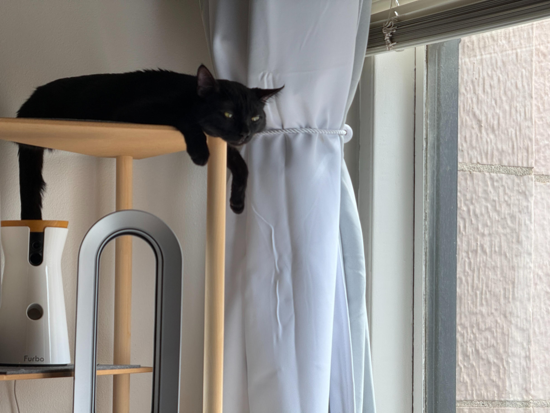 Meow Ming